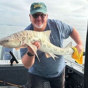 Meet your Posher, Rex